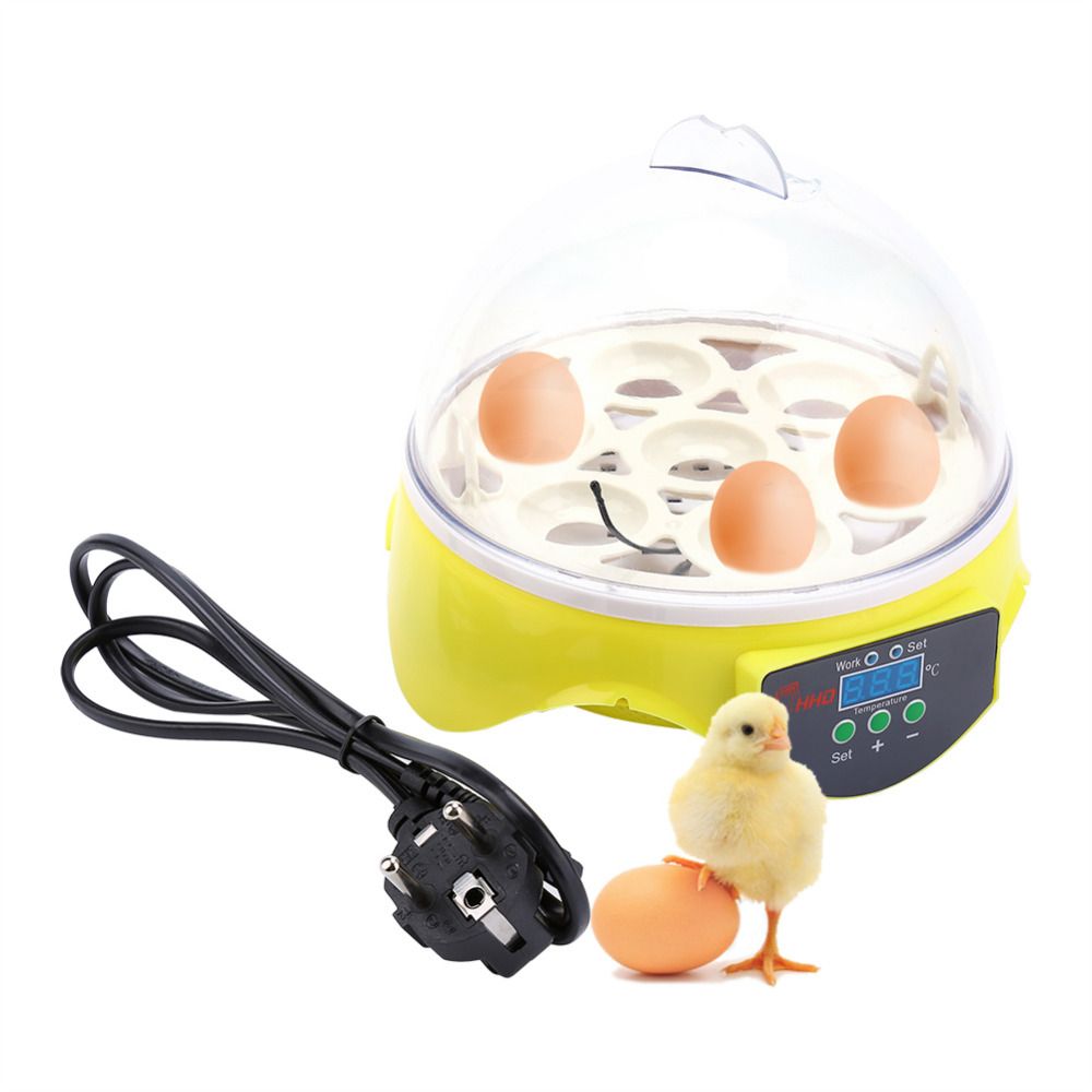 huevos de pato Incubadoras de huevos 6 huevos Máquina de incubación ajustable para el hogar Temperatura automática para huevos de pollo