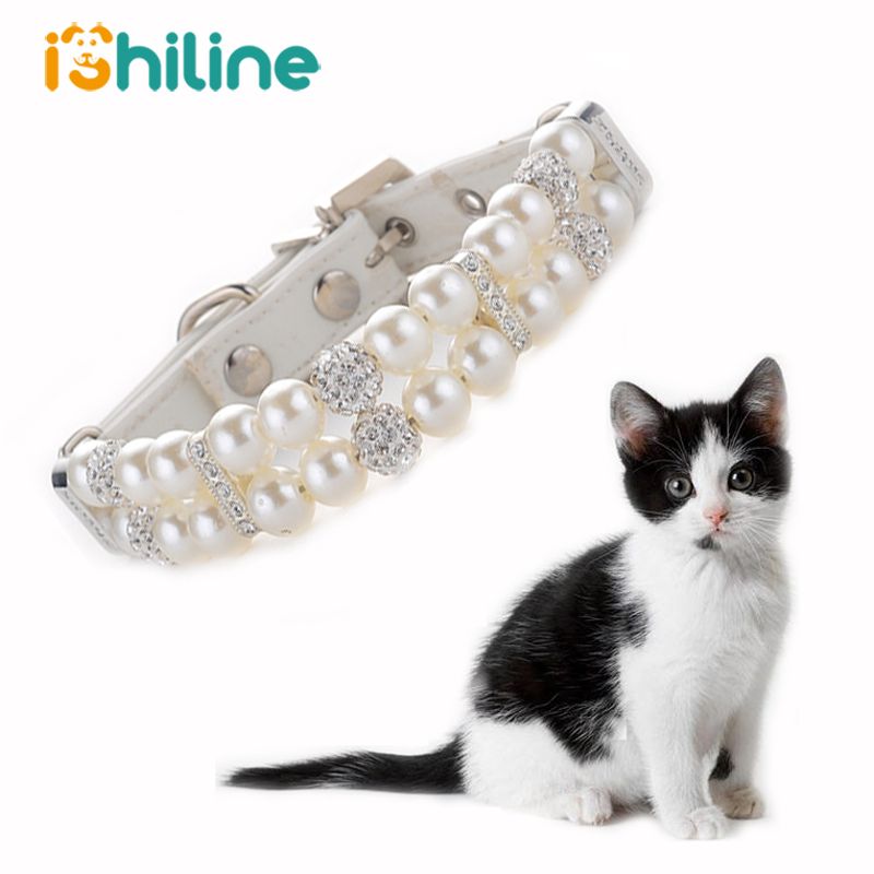 cat collars for sale