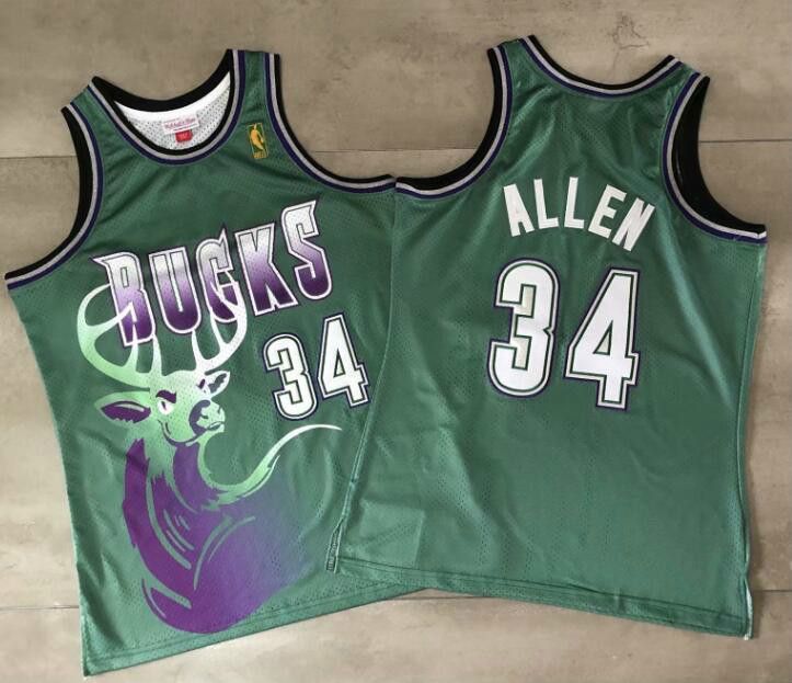 ray allen swingman jersey
