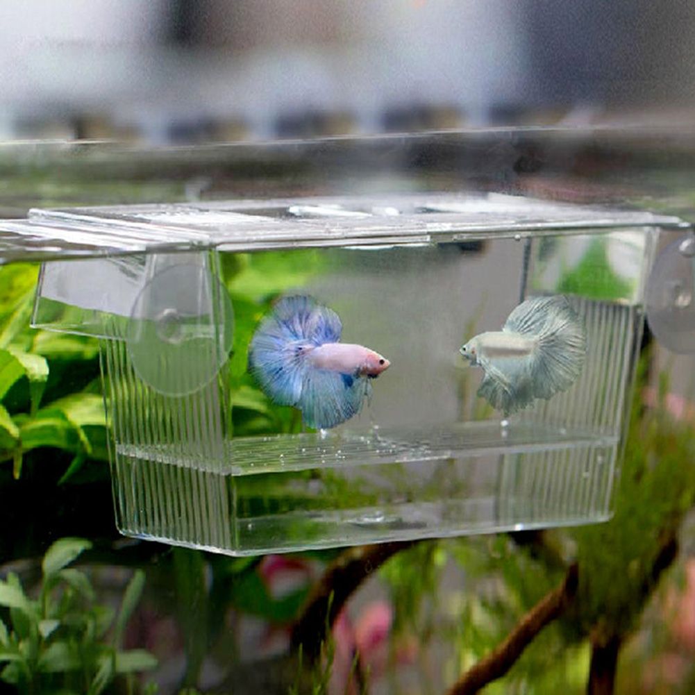 2019 728ml Double Bowl Fish Breeding Box Aquarium Breeder Box