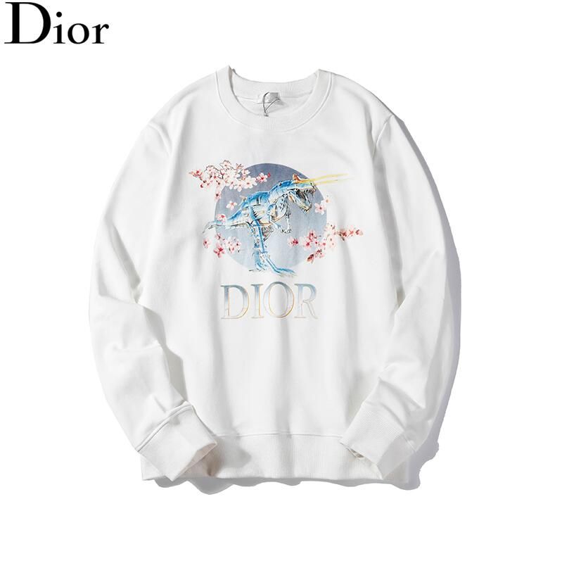 dhgate dior hoodie