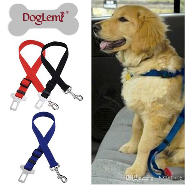 seat belt lead for dogs
