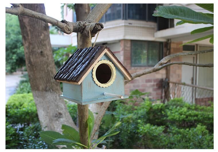 décoratif bois colibri maison extérieur jardin perroquet oiseau  distributeur de graines support suspendu alimentaire conteneur mangeoires