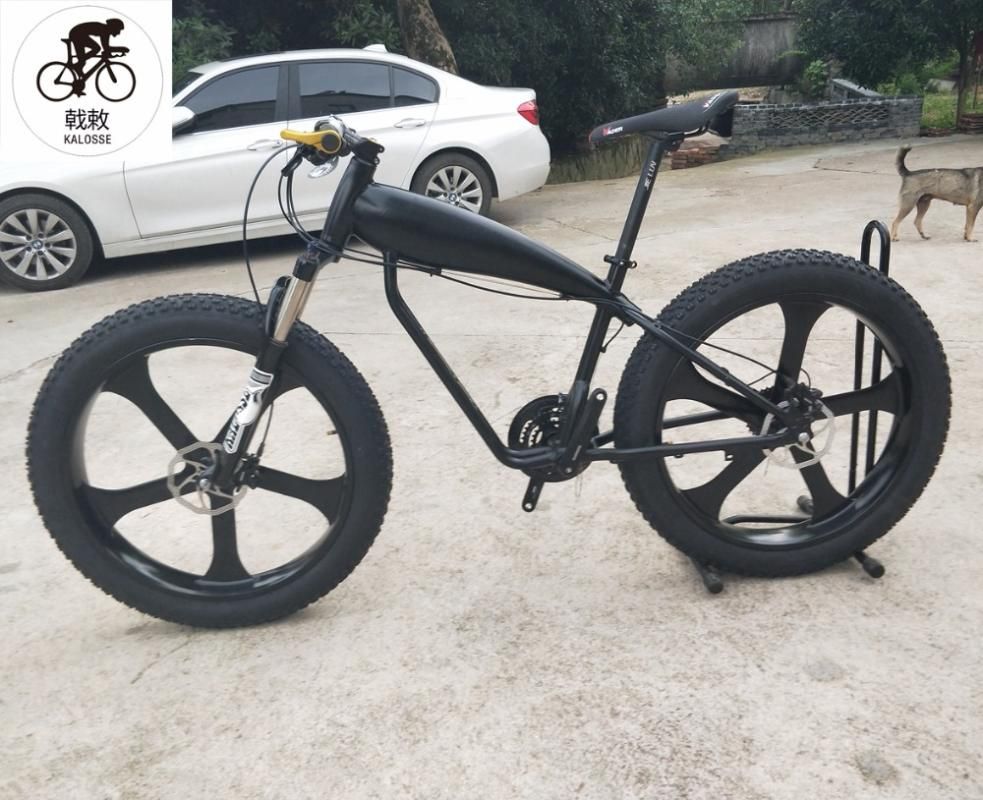 fat bike hydraulic brakes