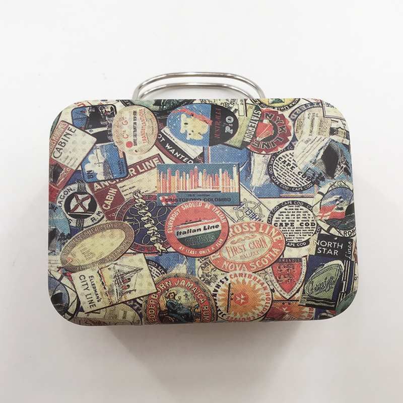 Suitcase Luggage Eyelash Box10