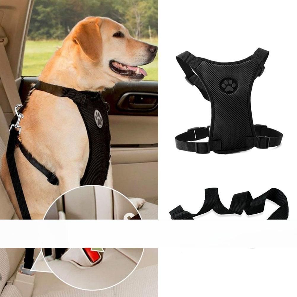puppy chest harness