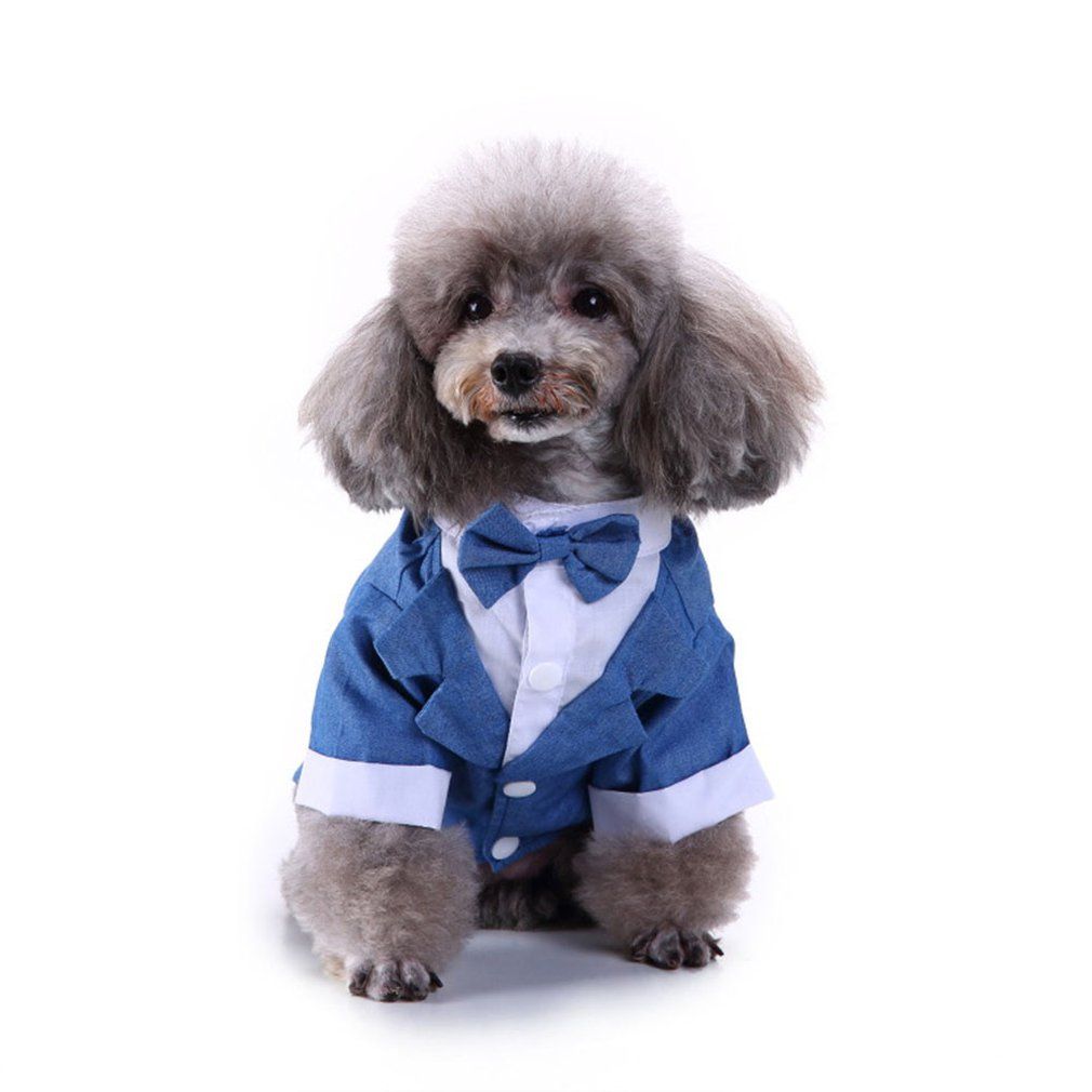 Compra Vestido Mascotas Ropa Para Perros Ropa De Vestir Traje Ropa Smoking  Del Juego Del Arco Perro Pequeño Perro De Perrito Boda Barato | Entrega  Rápida Y Calidad | Es.Dhgate