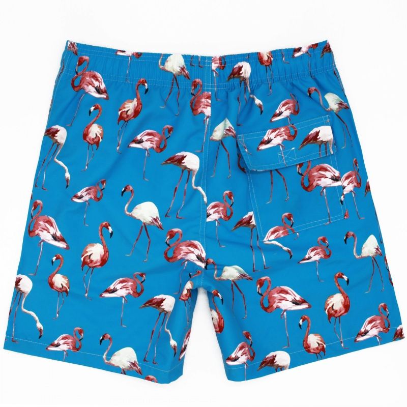 Mens Anti-Possession-1 Board Shorts Beach Pants No Mesh Lining