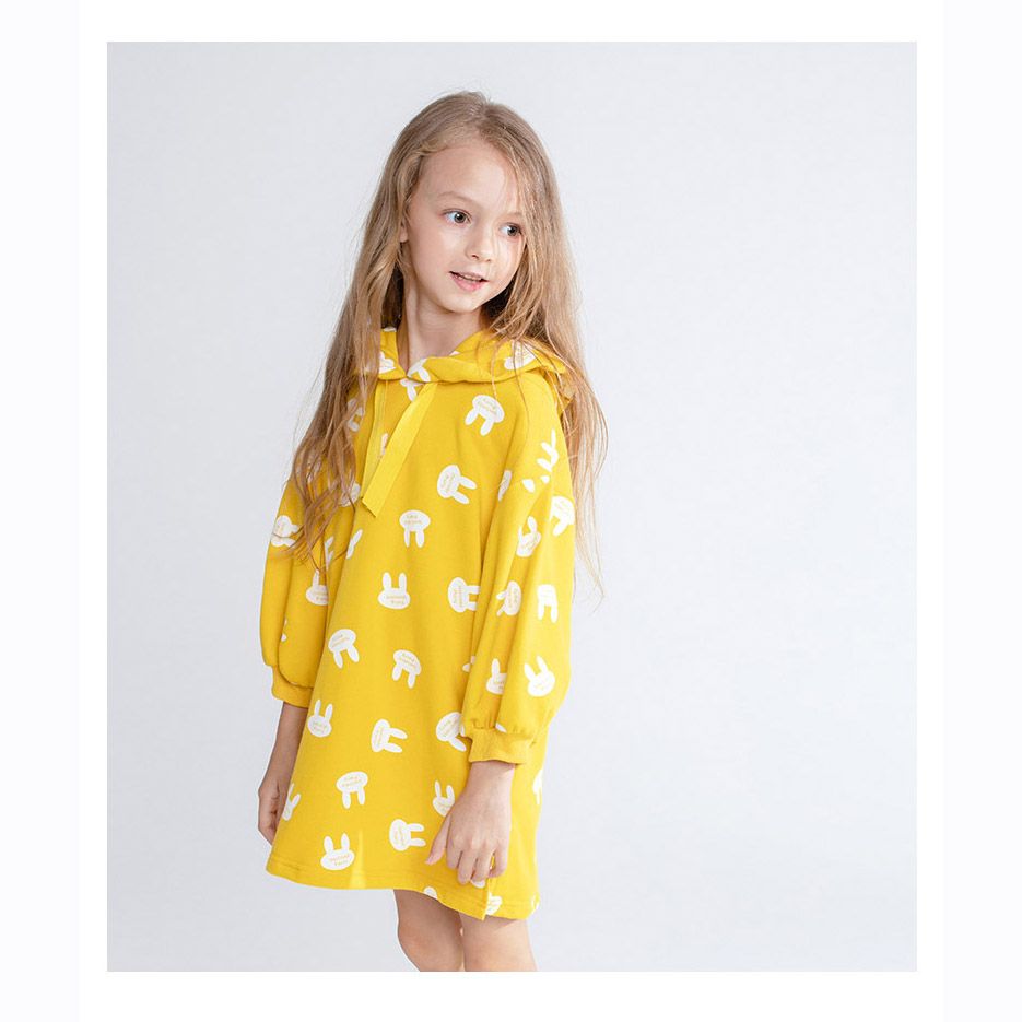 sweater hooded dress