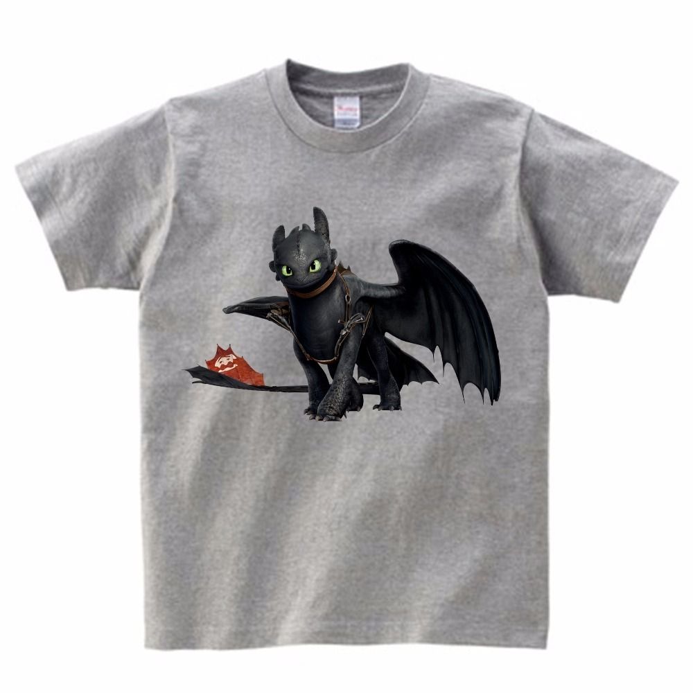 how to train your dragon birthday shirt