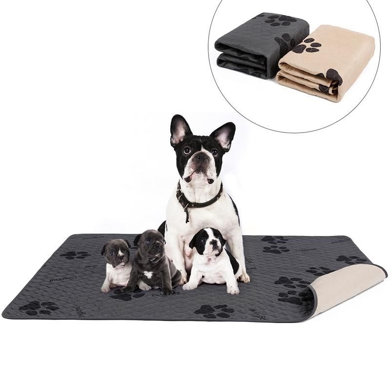 absorbent dog mat