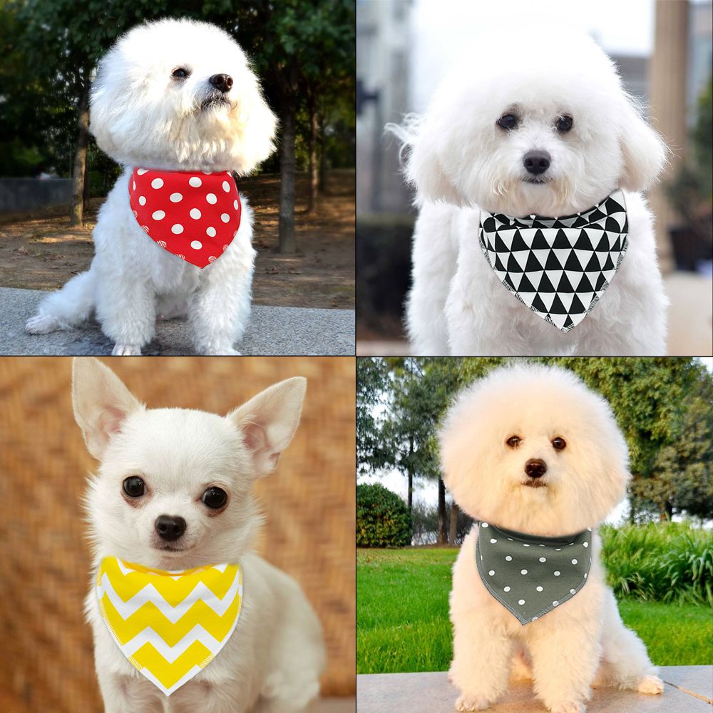 puppy scarf