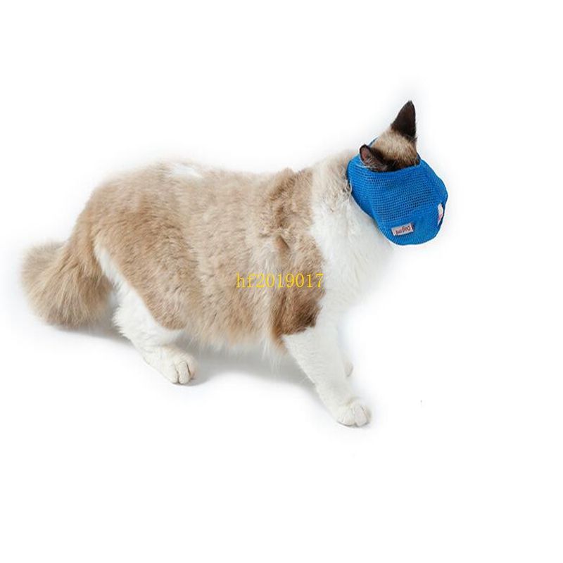Acheter Pas Cher Livraison Gratuite Multi Fonctionnelle Bouche De Chat Couverture Anti Morsure Anti Lechage Anti Chat Tete Couvre Net Masque Respirant De Chat Du 2 46 Fr Dhgate