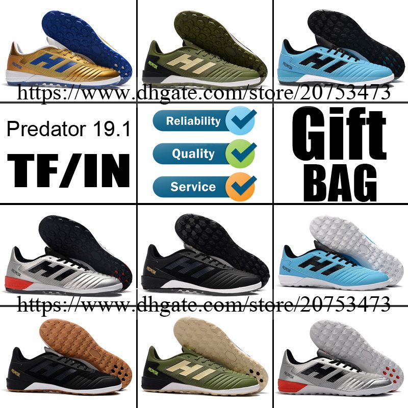 predator 19.1 indoor