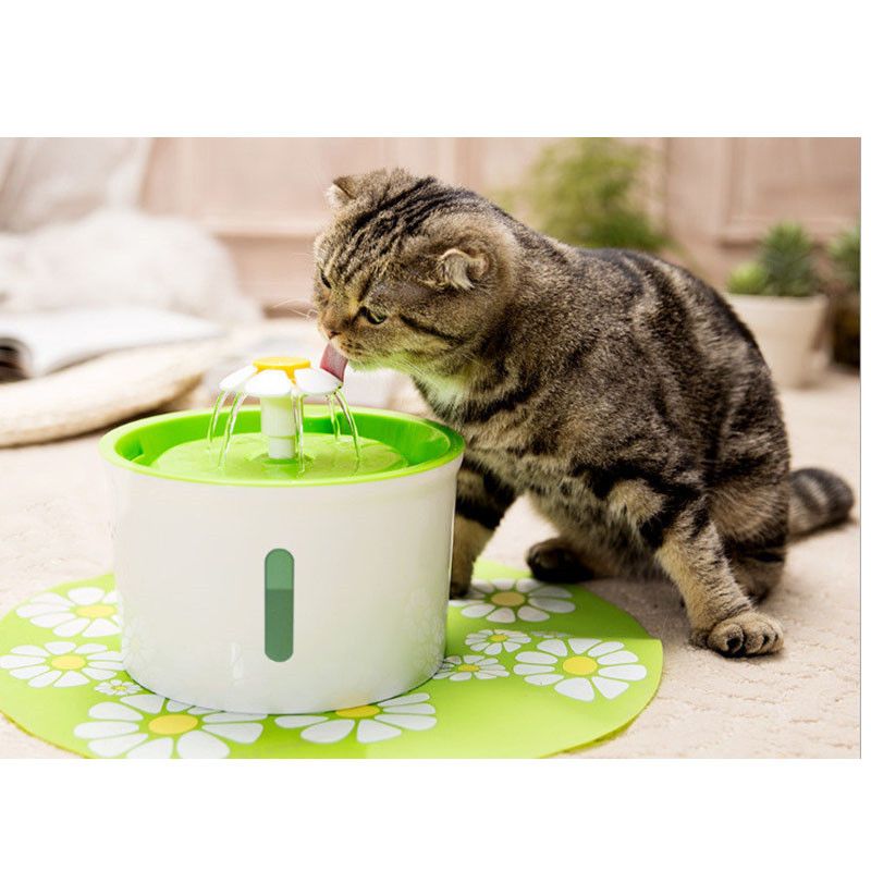 automatic drinking fountain for cats