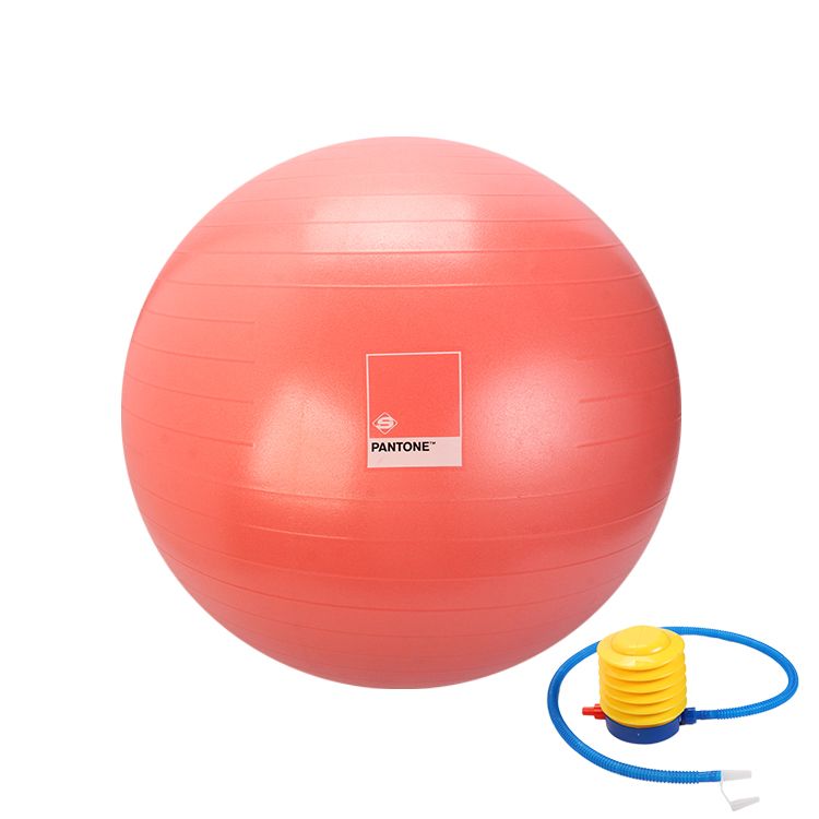 gym ball set