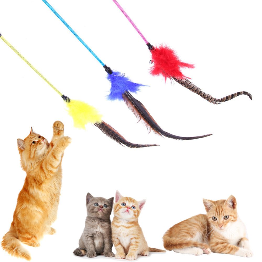 cat toy rod