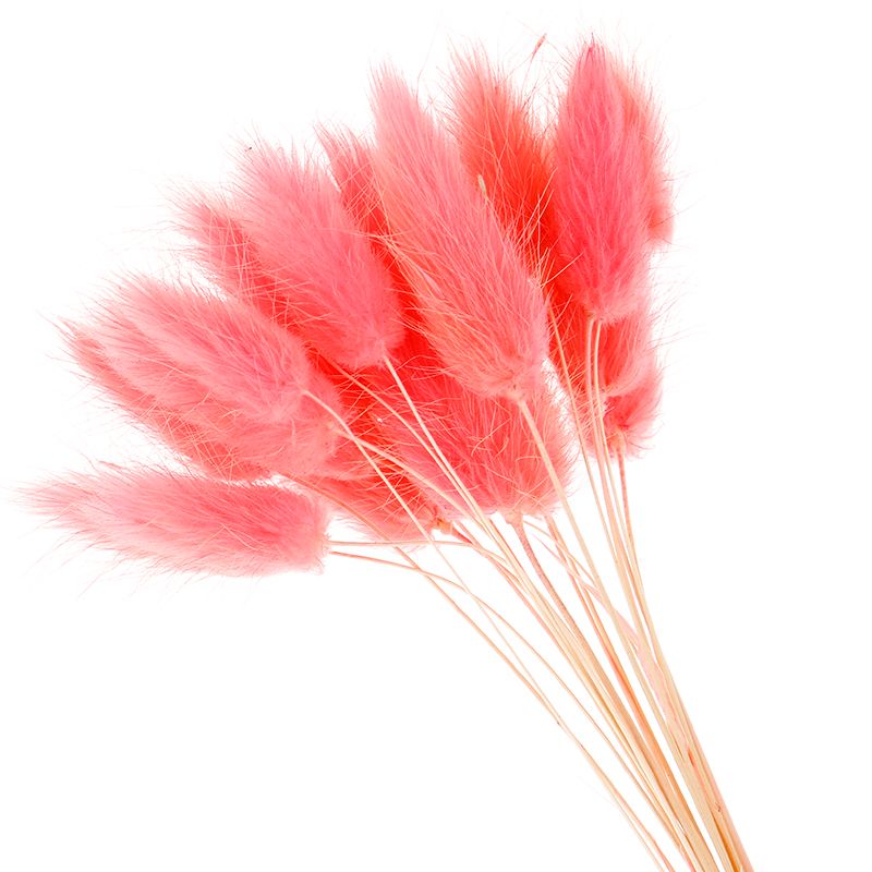 satin al 50 adet dogal kurutulmus cicekler pelus beyaz yapay cicekler renkli sahte tavsan kuyruk cim tilki kuyrugu buket uzun demet yapay cicek