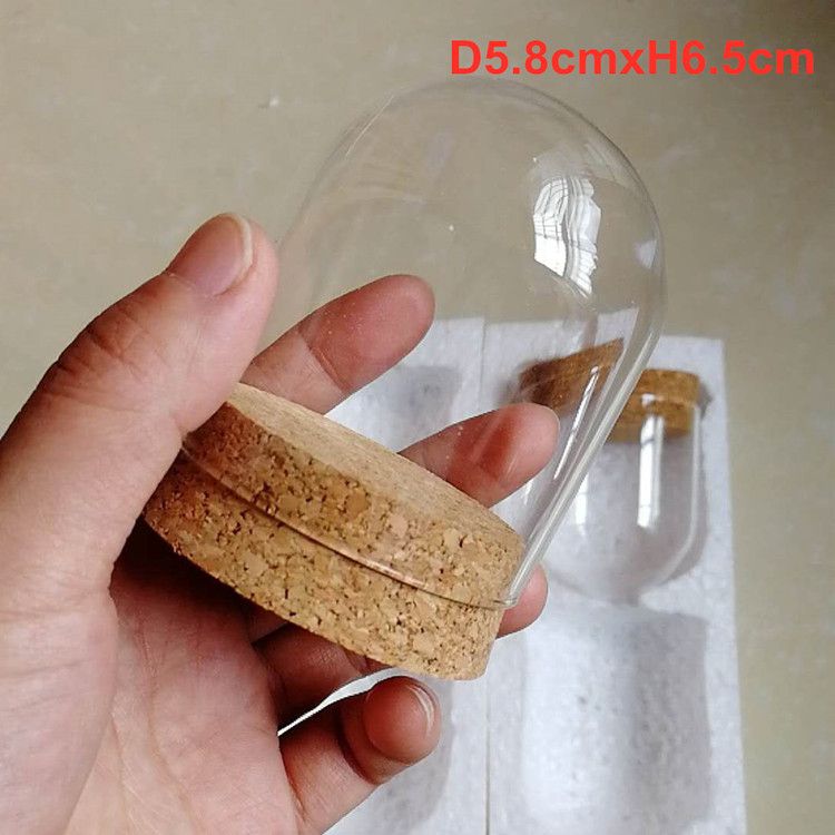 Clear Glass Display Dome Cover Cloche Bell Jar Succulent Terrariums Cork A