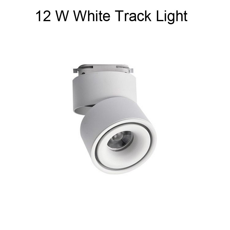 12 W White Track Light