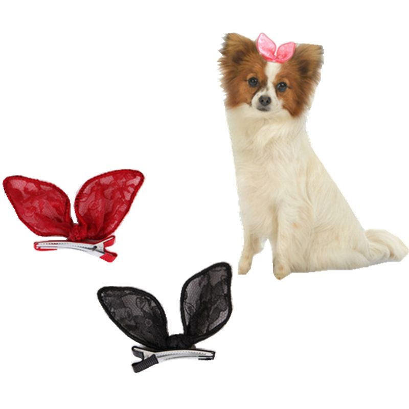 dog ear hair clips