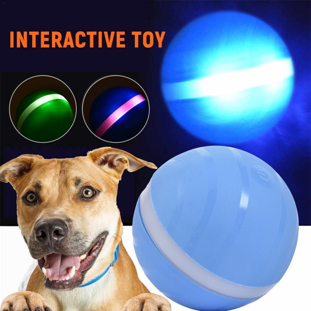 active jumping ball for dogs