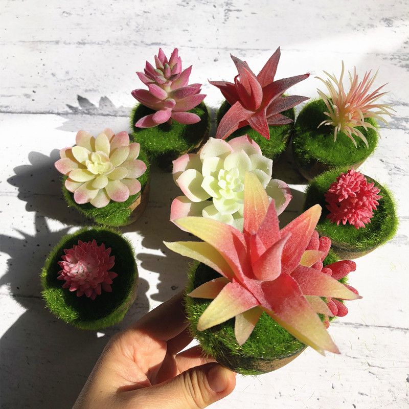 satin al indigo pot ile 1 takim lotus etli bitki moss pot bonsai yapay plastik cicek ofis masa dekorasyon pembe bitki tl202 38 dhgate comda