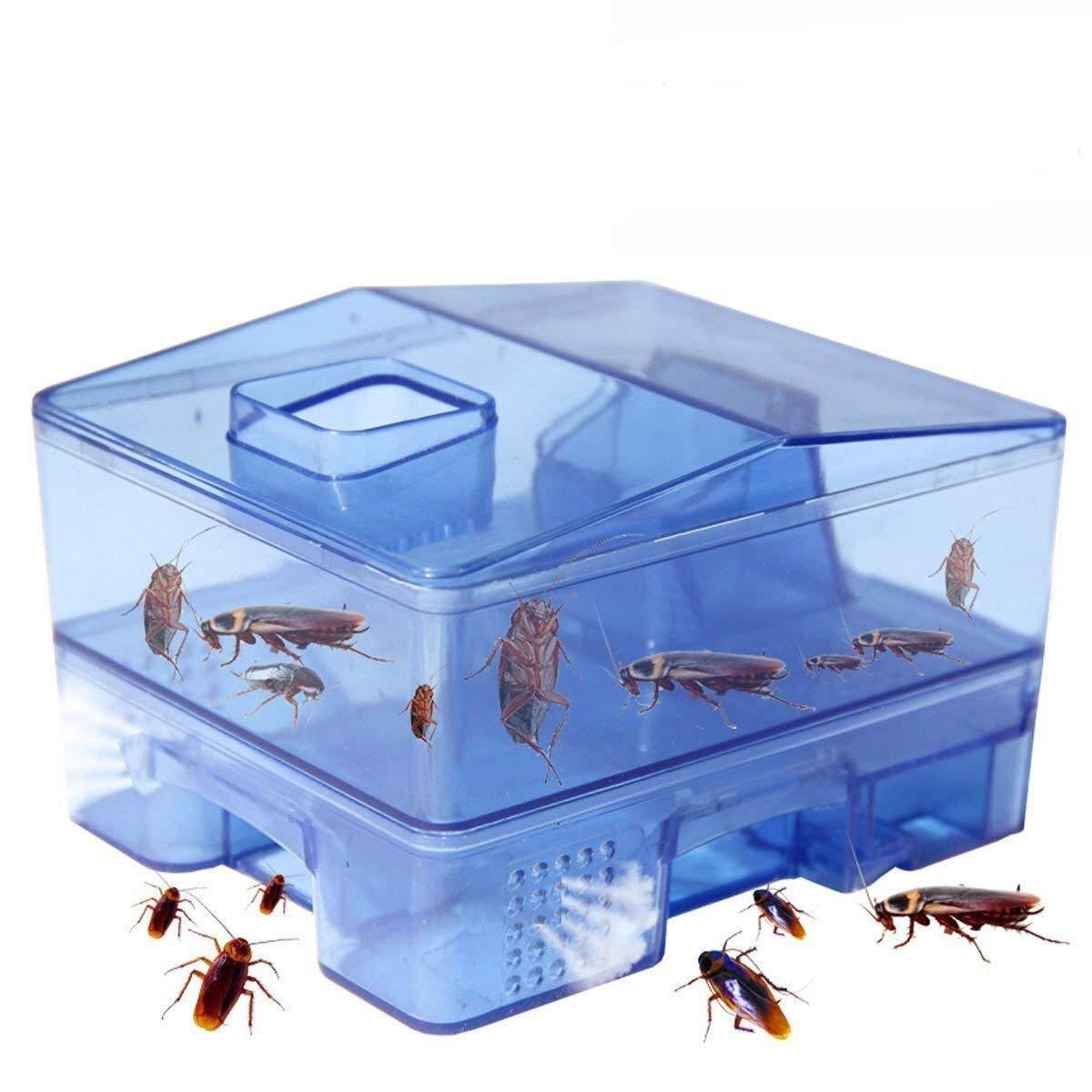 Cockroach Trap Container