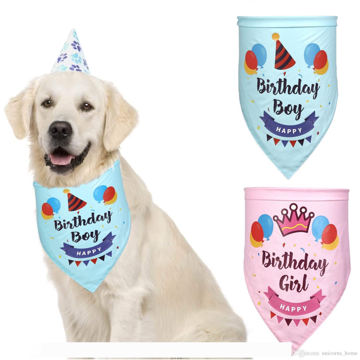 dog neckerchief pets at home