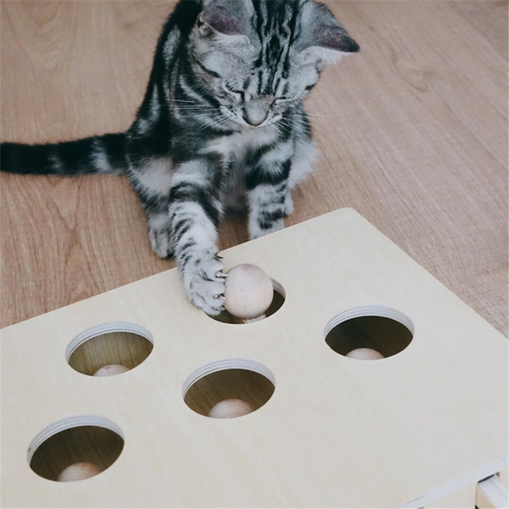 cat hunt toy