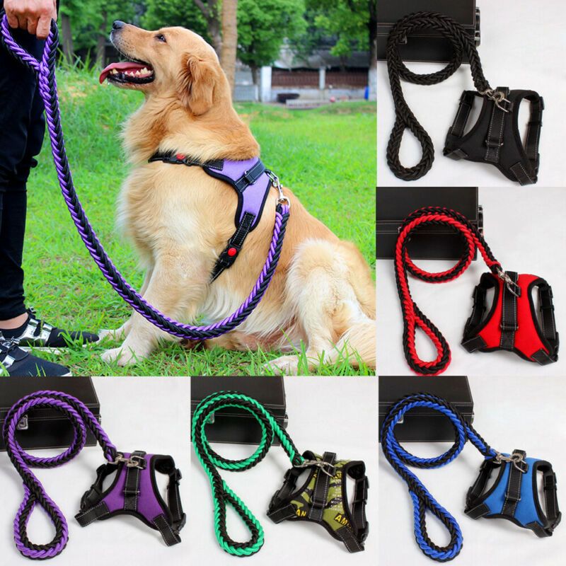 Gran Collar De Perro Del Animal Doméstico Del Correo Del Arnés Conjunto De Tracción Ajustable Cuerda Cadena Pasear Al Perro Para Mascotas Chaleco Del De 8,19 € | DHgate