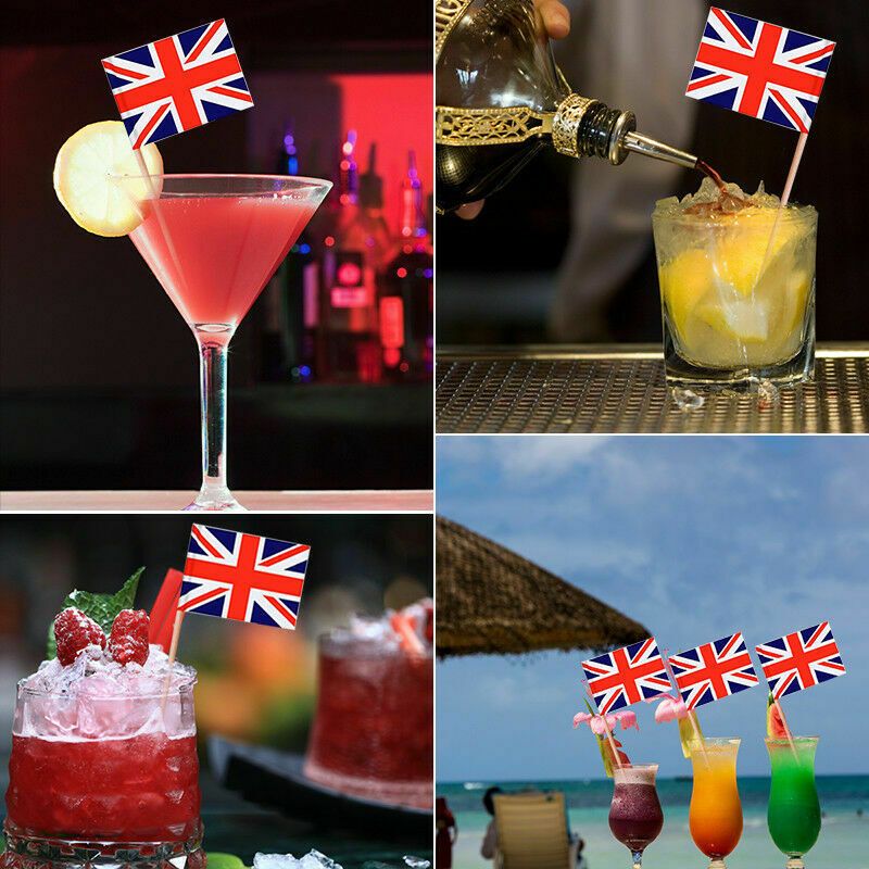 10 EUROPEAN COUNTRY NATIONAL FLAG COCKTAIL STICKS PICKS PARTY DECOR EUROPE EU