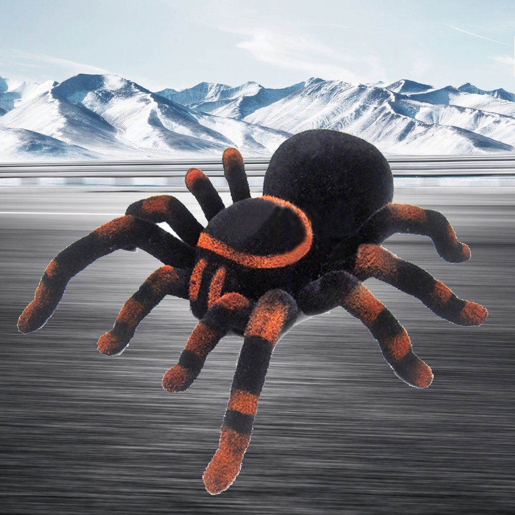 furry spider toy