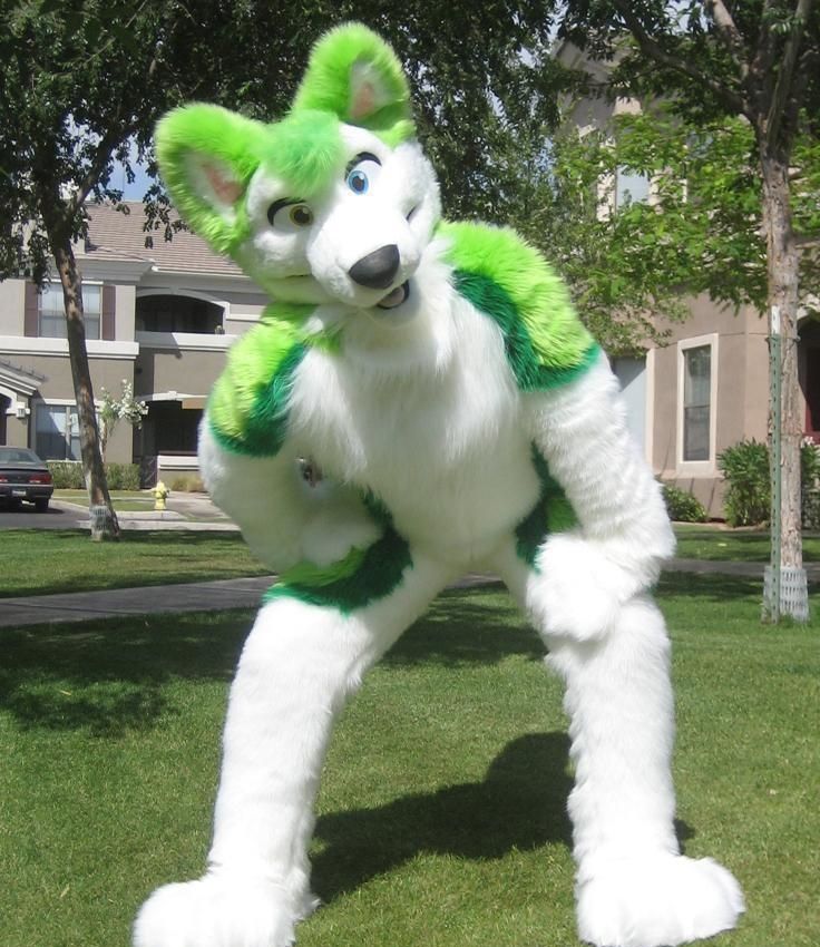 2018 High Quality Custom Green Husky Fursuit Dog Fox Mascot Costume Animal Suit Halloween Christmas Birthday Full Body Props Costumes Outfit Child Costumes Ladybug Costumes From Huihuangstyle 448 33 Dhgate Com