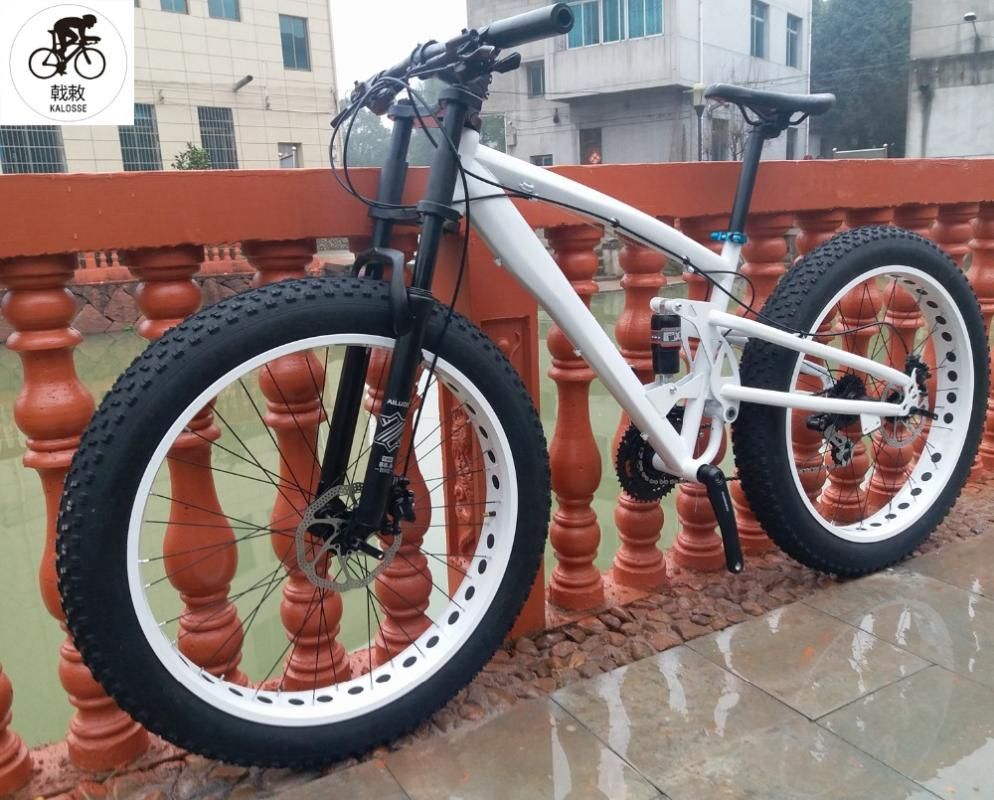 fat bike hydraulic brakes