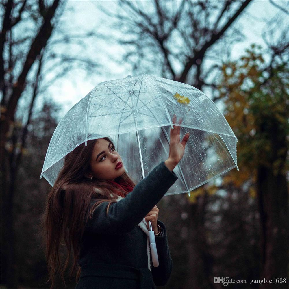 Drizzles Ladies Dome Umbrella Clear Walking Umbrella