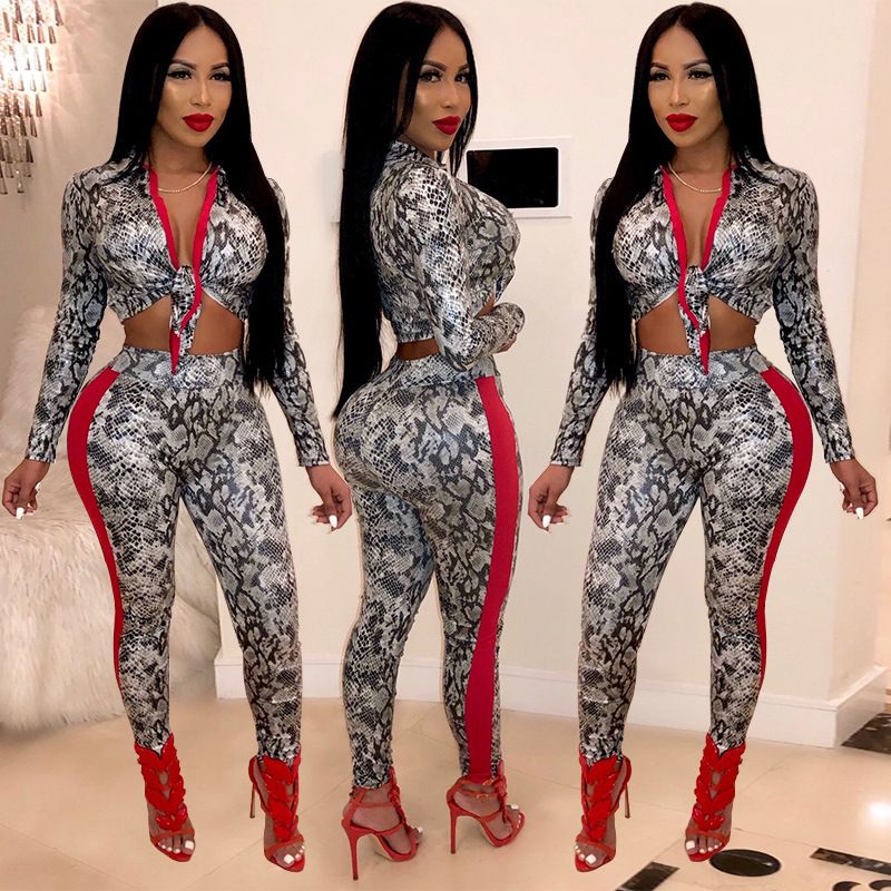 2 piece leopard print outfit