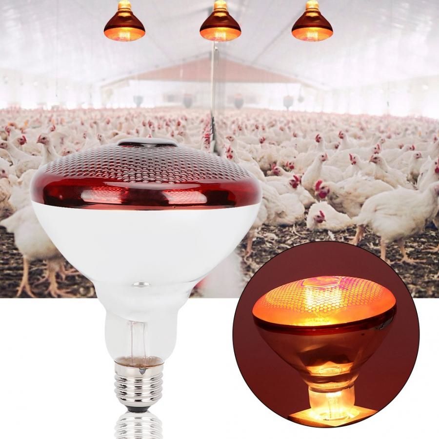 reptile heat lamp bulb