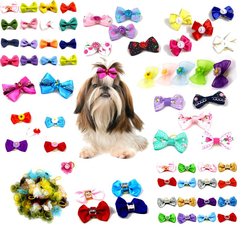 dog hair accessories
