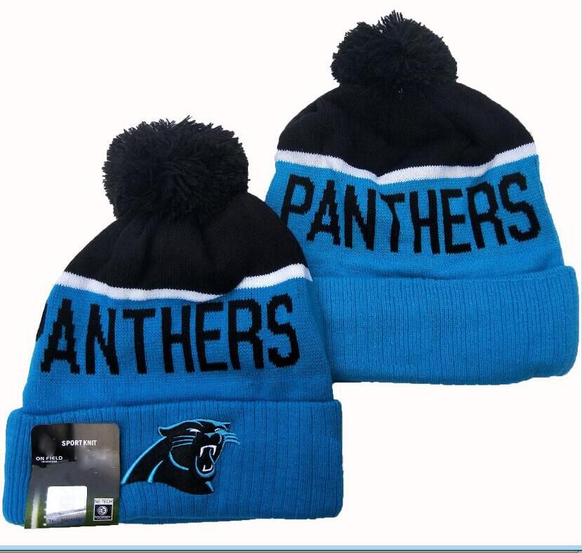 panthers beanies