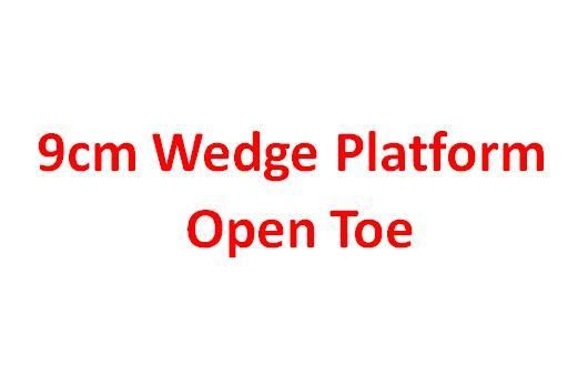9cmwedge 플랫폼 OT.