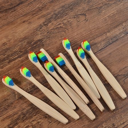 biodegradable plastic toothbrush
