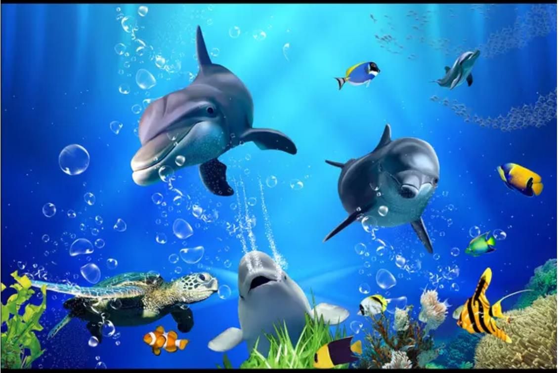 Get Ocea tematica de sala destar HD Ocea Tematica De Sala Destar