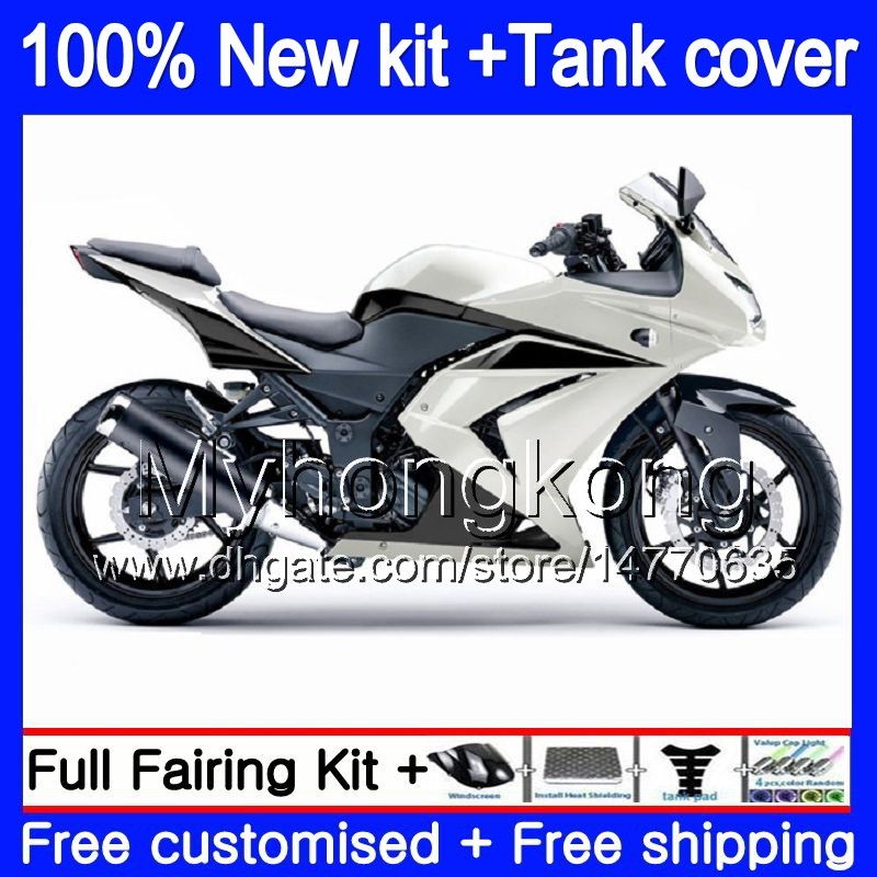 kawasaki zx 250r