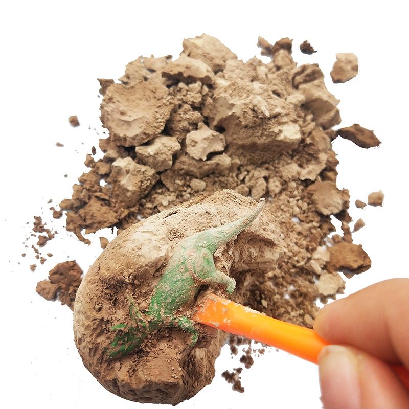 dig up dinosaur fossil eggs