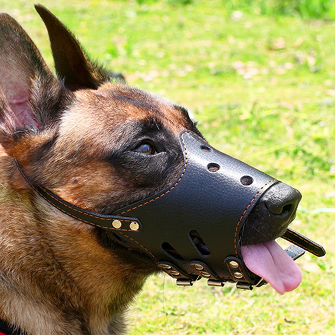 anti bark muzzles