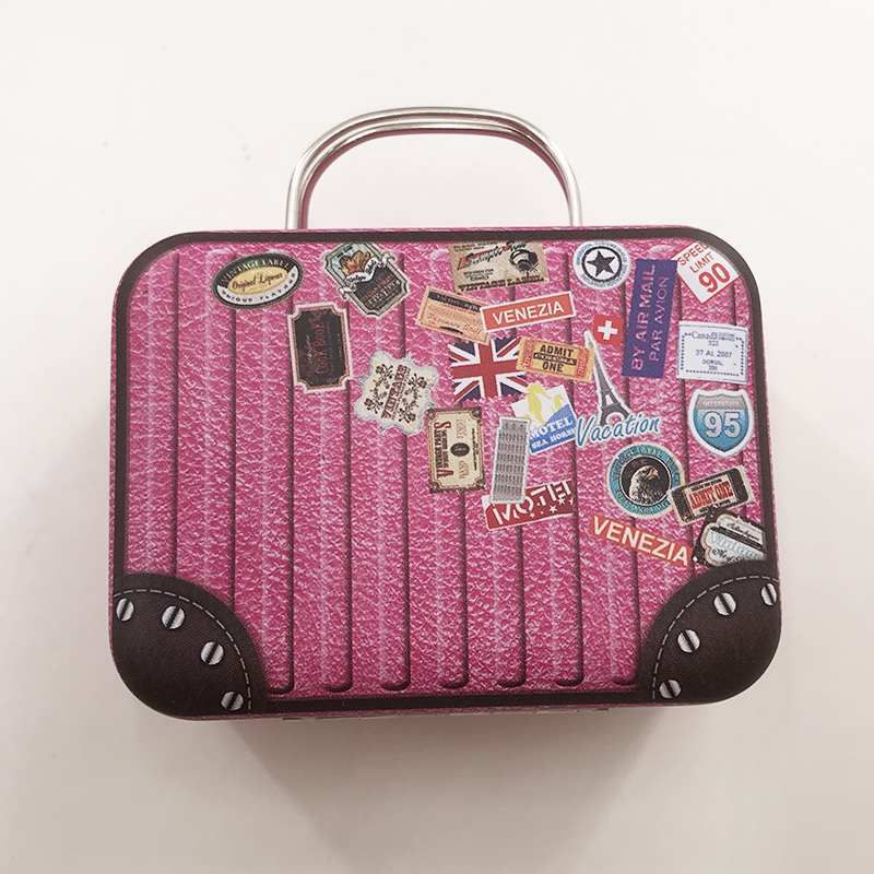 Suitcase Luggage Eyelash Box11