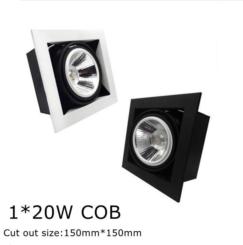 uma cabeça 20W COB