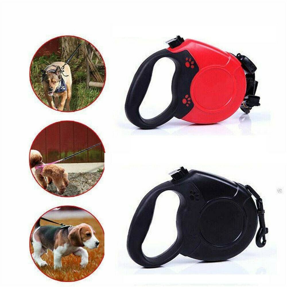 lockable dog collar and lead