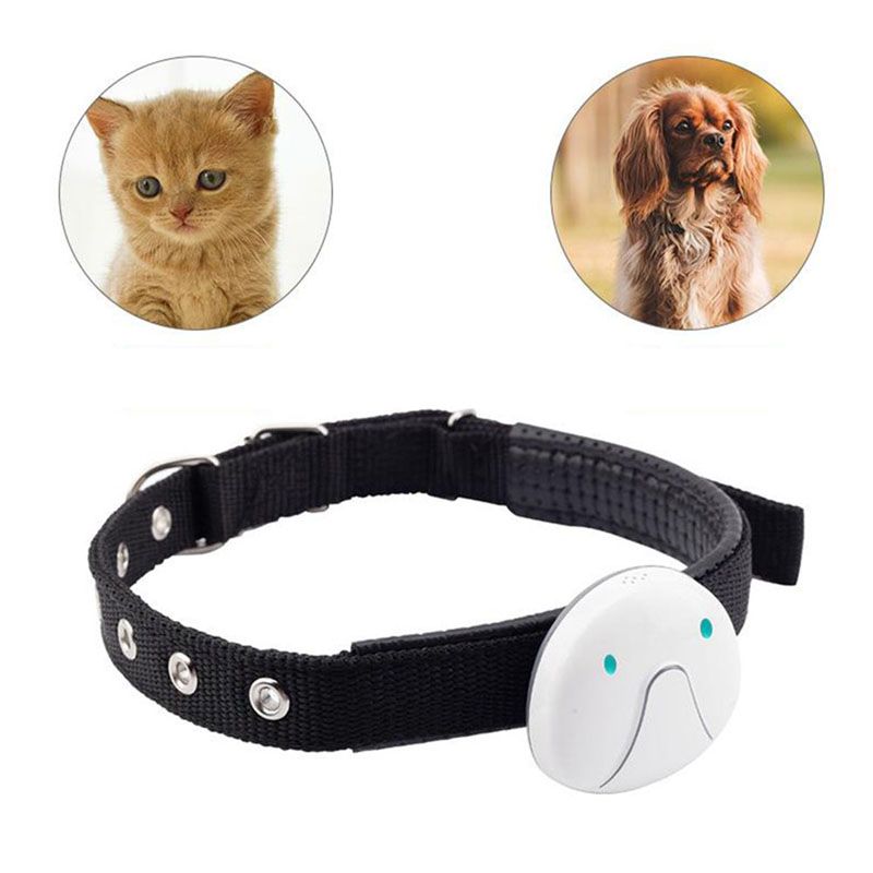 mini dog gps tracker